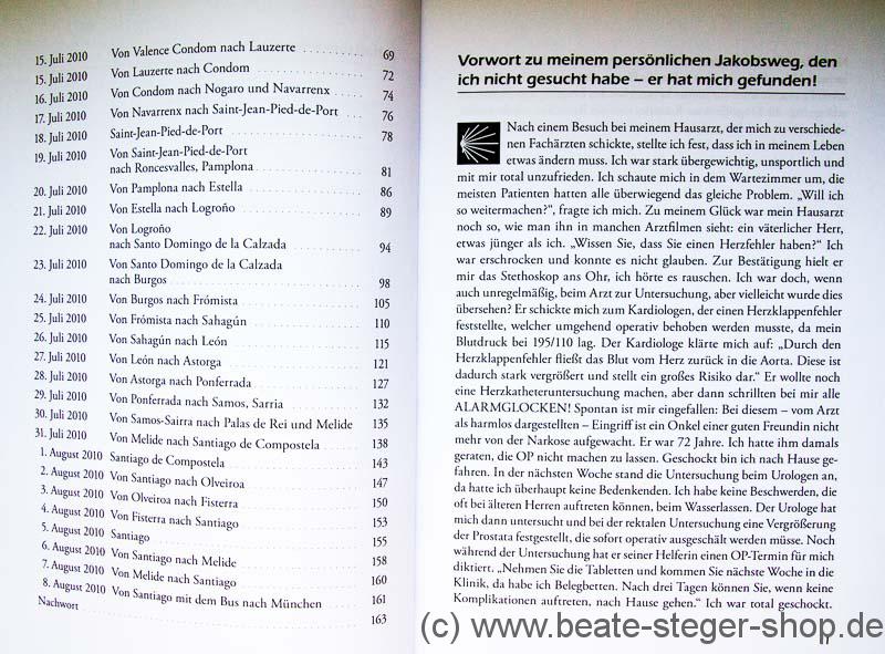 Dieses Buch erzählt die Geschichte von Helmut Schuller, der, nach einer schweren Krankheit durch Selbstheilung in Form von Glaube, Bewegung, Ernährung, mit dem Rad von Weiden in der Oberpfalz nach Santiago de Compostela gefahren ist..