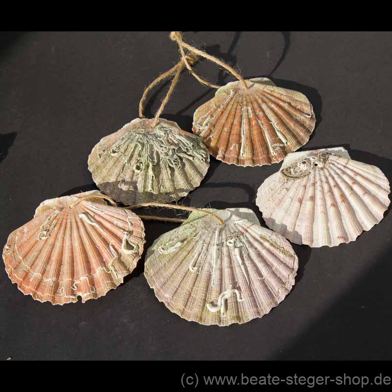 Die Muschel ist das Kennzeichen der Jakobspilger und wurde im Mittelalter auf dem Nachhauseweg getragen.