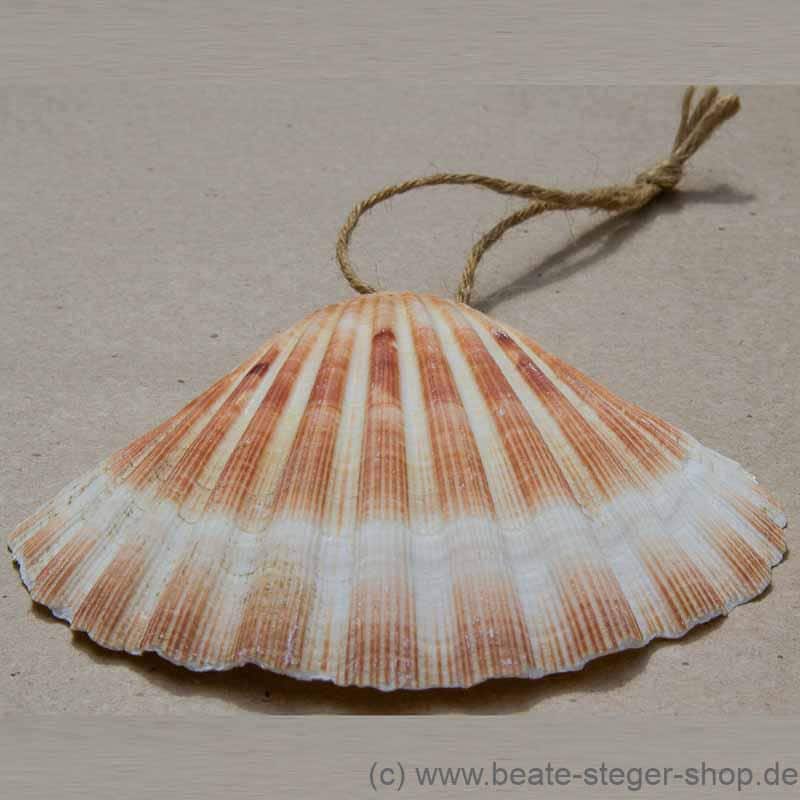 Die Muschel ist das Kennzeichen der Jakobspilger und wurde im Mittelalter auf dem Nachhauseweg getragen.