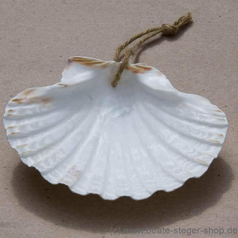 Die Muschel ist das Kennzeichen der Jakobspilger und wurde im Mittelalter auf dem Nachhauseweg getragen.