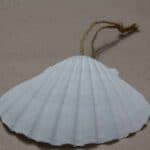 Die Muschel ist das Kennzeichen der Jakobspilger und wurde im Mittelalter auf dem Nachhauseweg getragen.