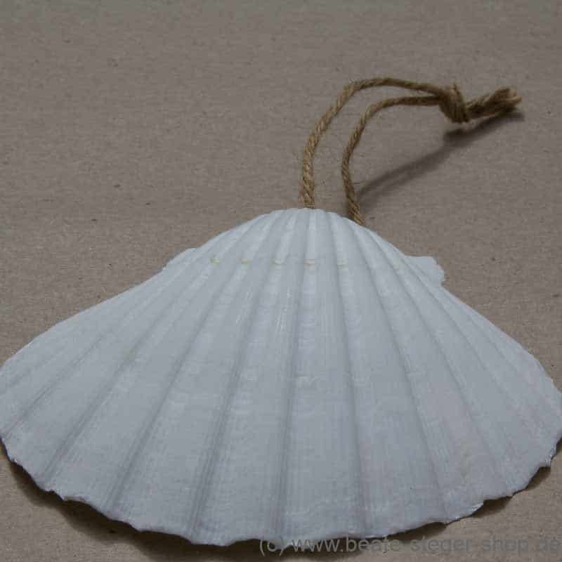 Die Muschel ist das Kennzeichen der Jakobspilger und wurde im Mittelalter auf dem Nachhauseweg getragen.