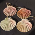 Die Muschel ist das Kennzeichen der Jakobspilger und wurde im Mittelalter auf dem Nachhauseweg getragen.