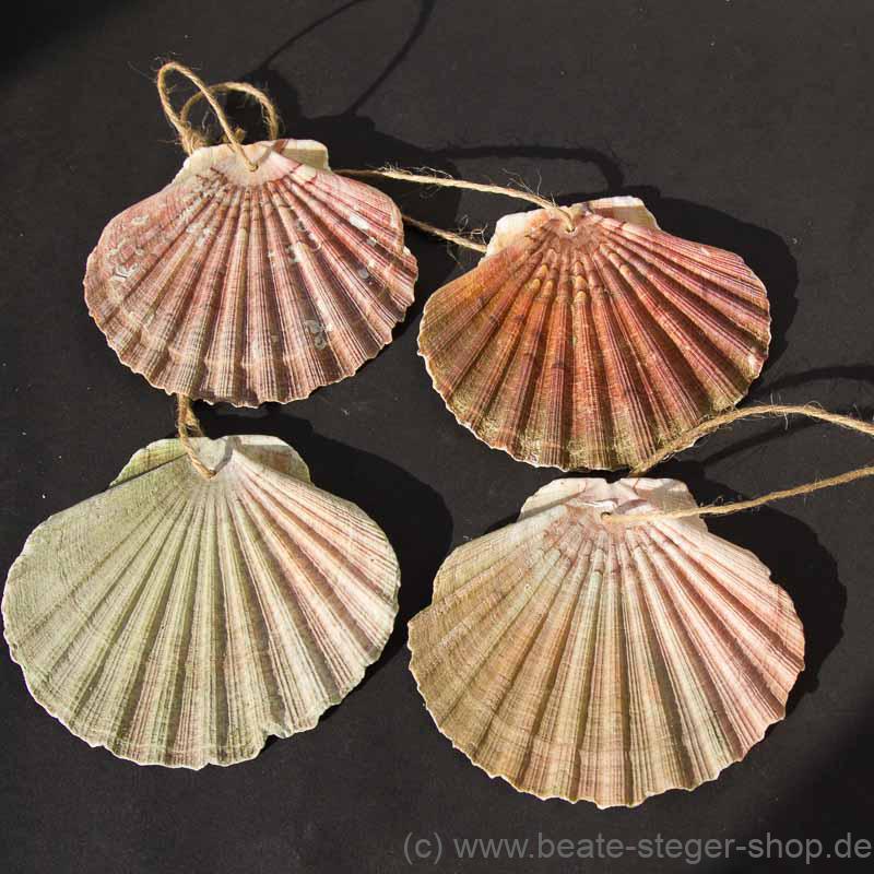 Die Muschel ist das Kennzeichen der Jakobspilger und wurde im Mittelalter auf dem Nachhauseweg getragen.