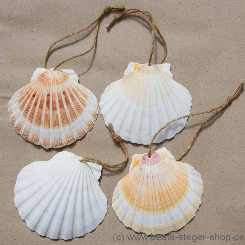 Die Muschel ist das Kennzeichen der Jakobspilger und wurde im Mittelalter auf dem Nachhauseweg getragen.