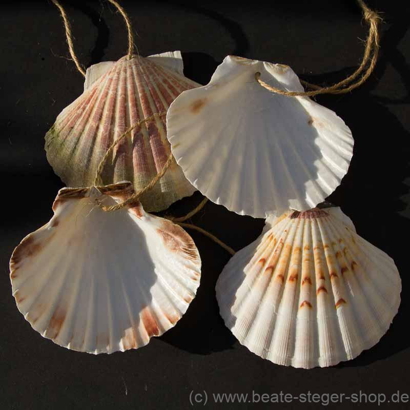 Die Muschel ist das Kennzeichen der Jakobspilger und wurde im Mittelalter auf dem Nachhauseweg getragen.