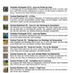 Poster mit Bildern von vielen Wegzeichen von verschiedenen Jakobswegen.